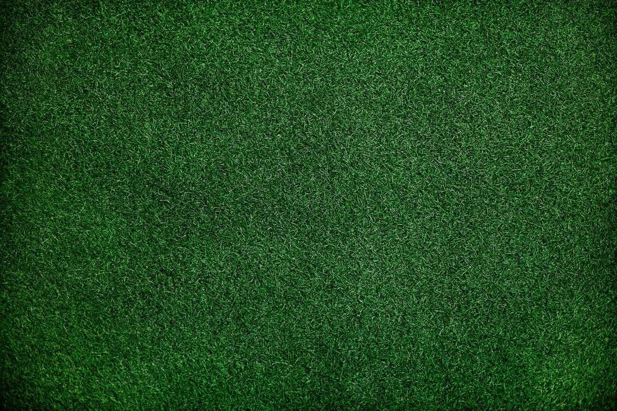 Close-up of dense green grass