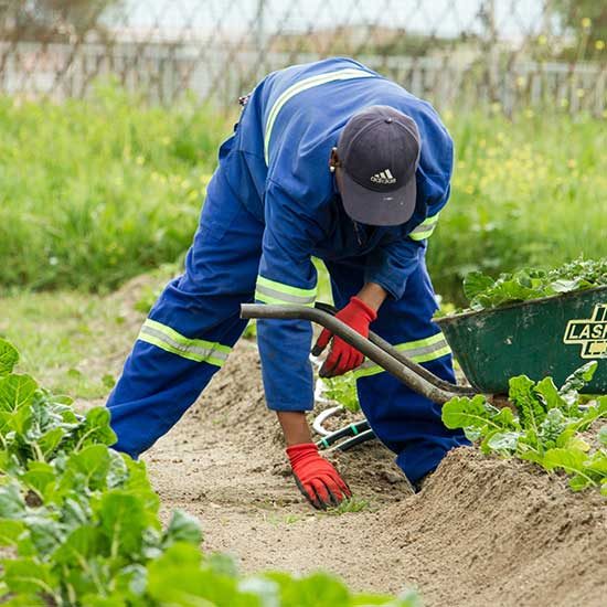 Irrigation & Sprinkler Planning