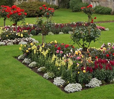 Colorful flower bed with a neatly edged lawn