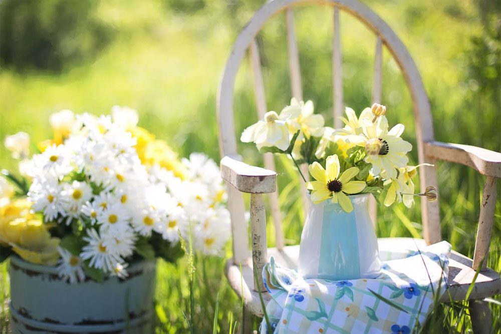 Garden flowers in pots on a sunny patio