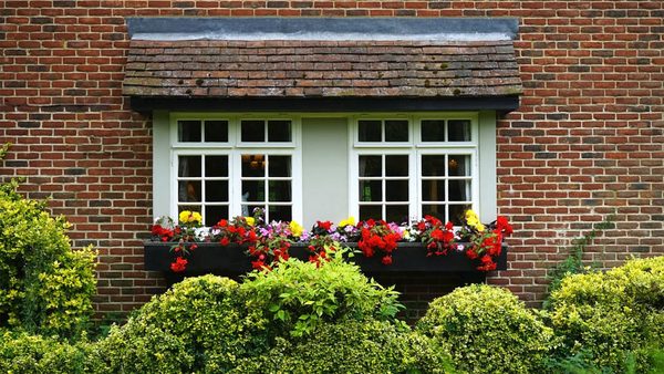 House front with well-maintained shrubs and flower boxes