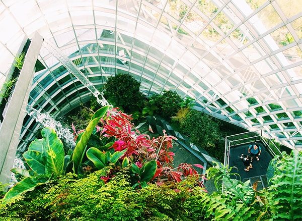 Bright greenhouse full of well-organized plants