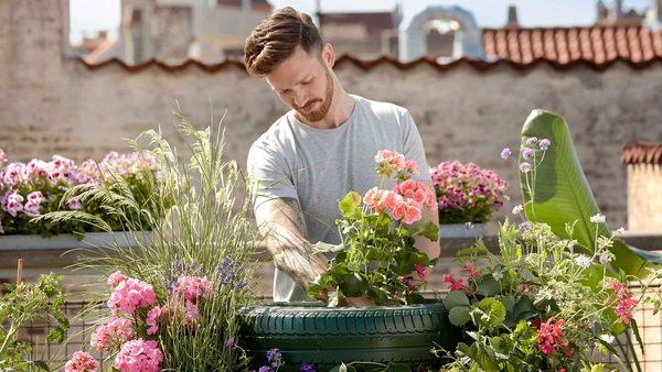 Gardener tending flowers with hand tools in a rooftop garden