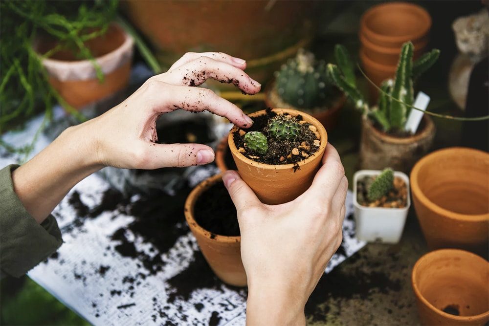 Gardener working with soil and pots on a potting bench