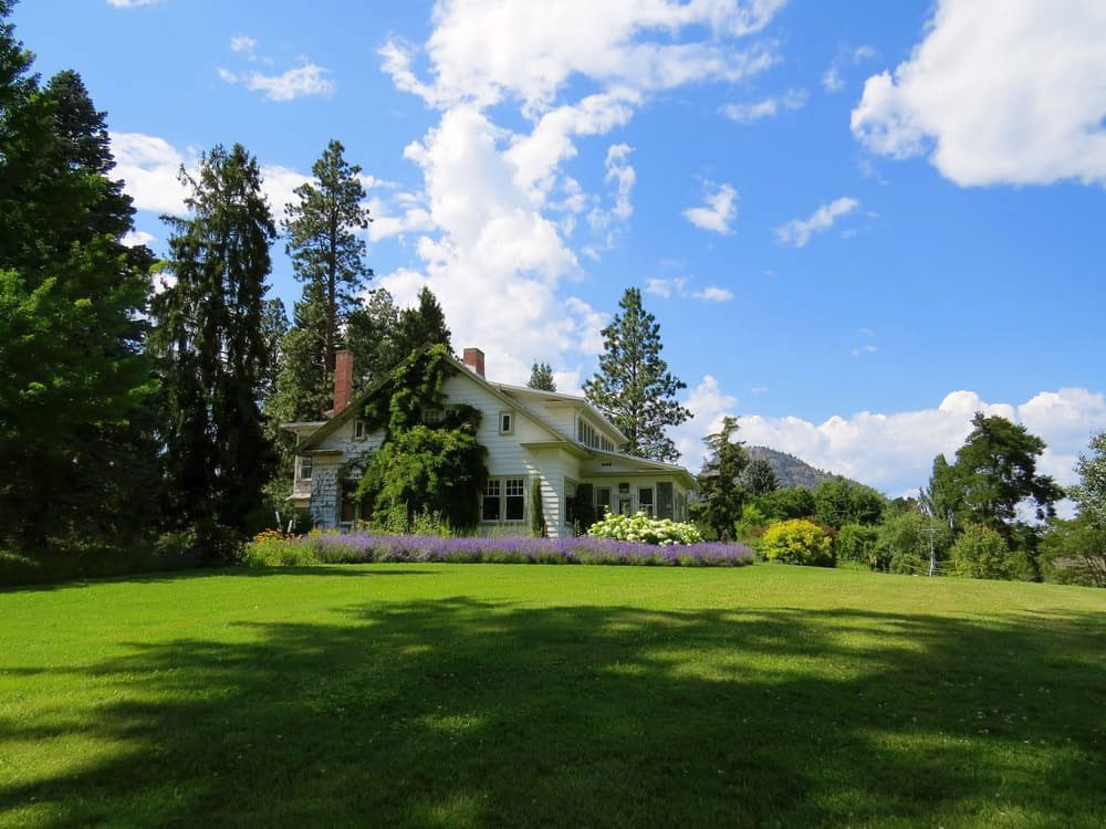 Wide freshly mowed green lawn in front of a country house