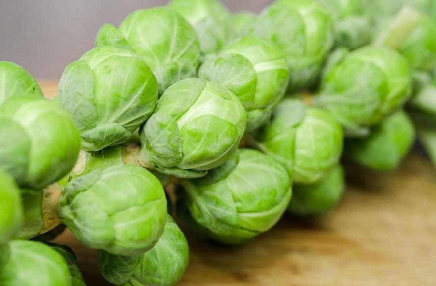 Organic Brussels sprouts