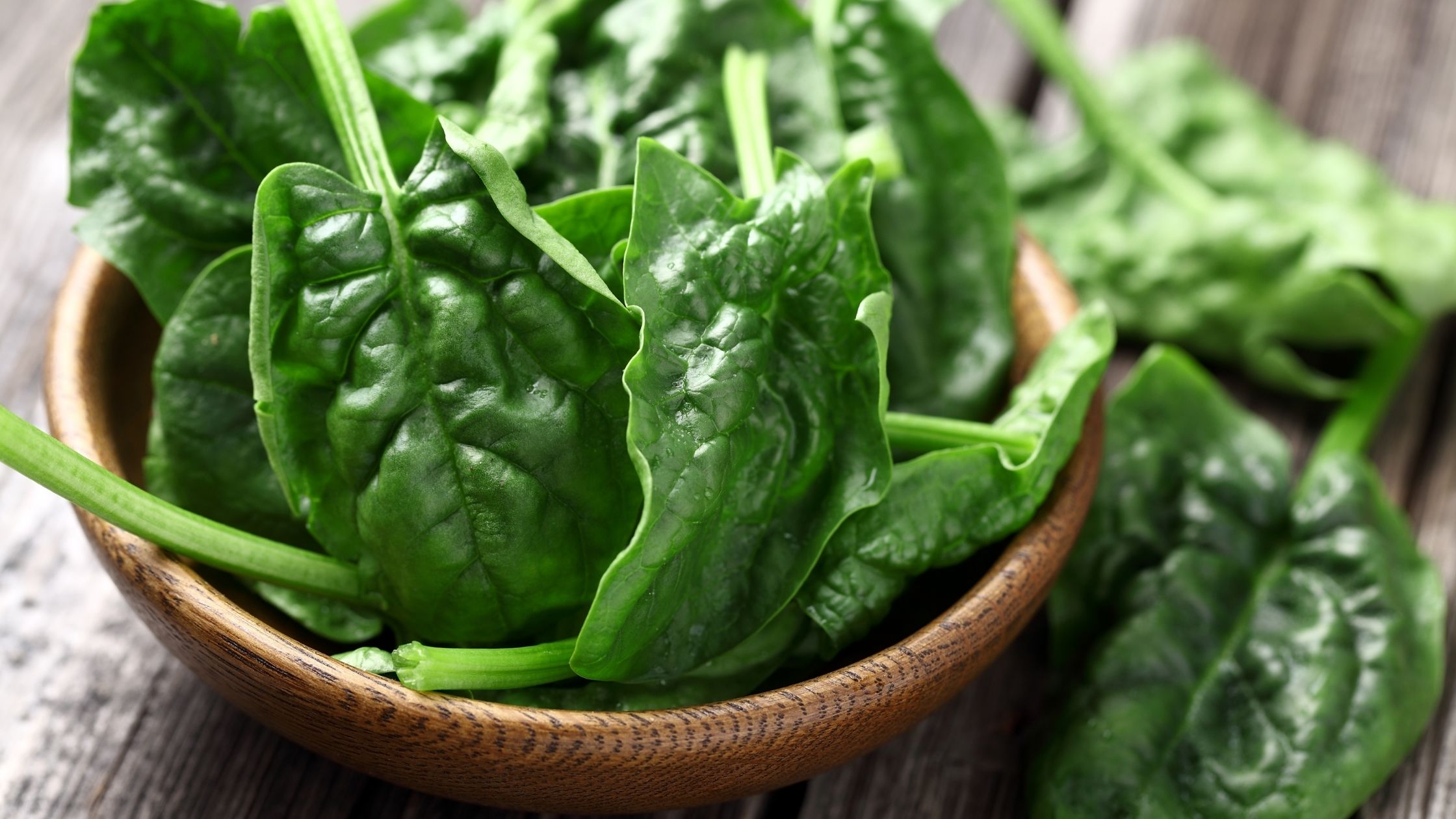 different-types-of-spinach