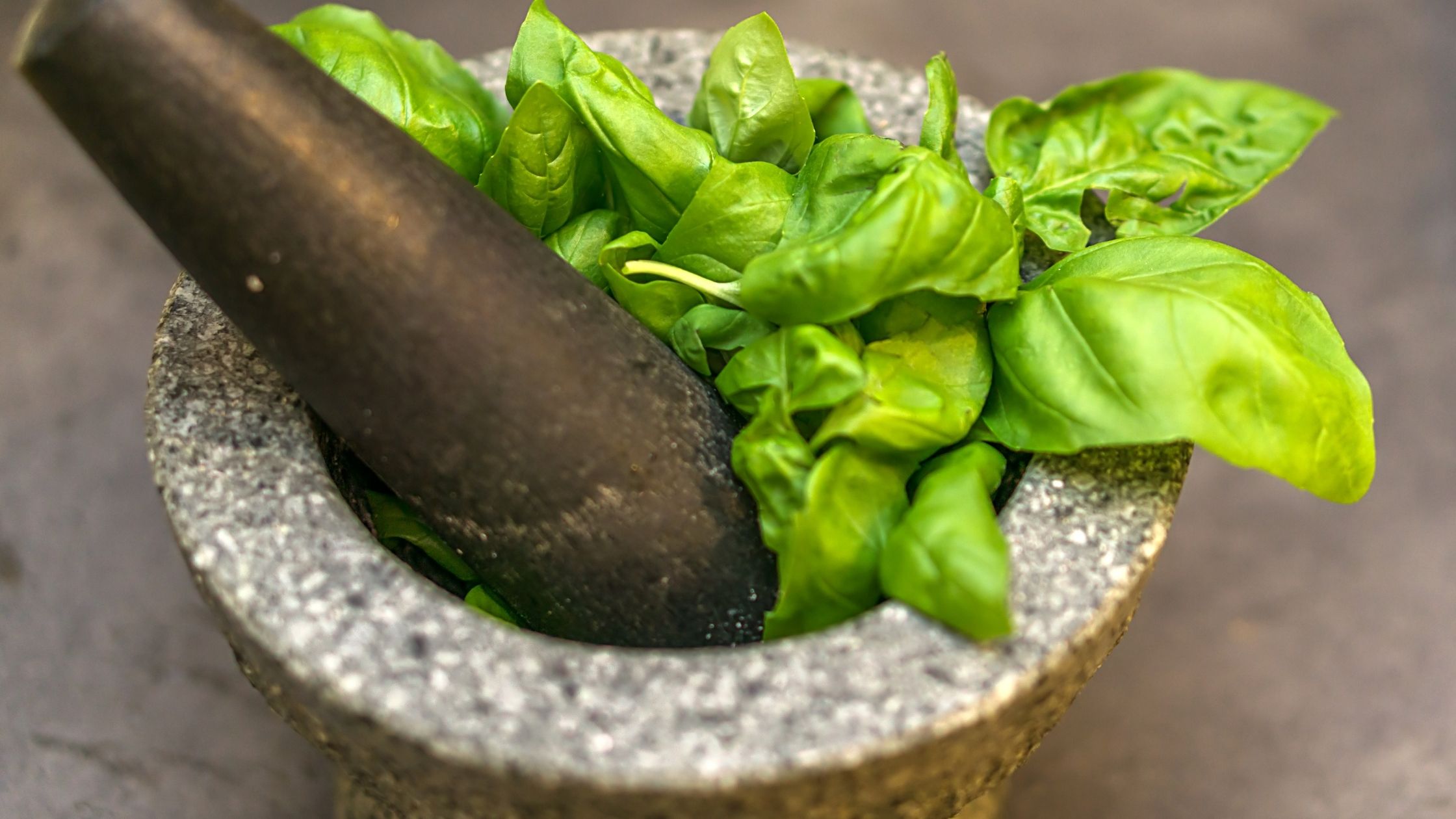Different Types of Basil