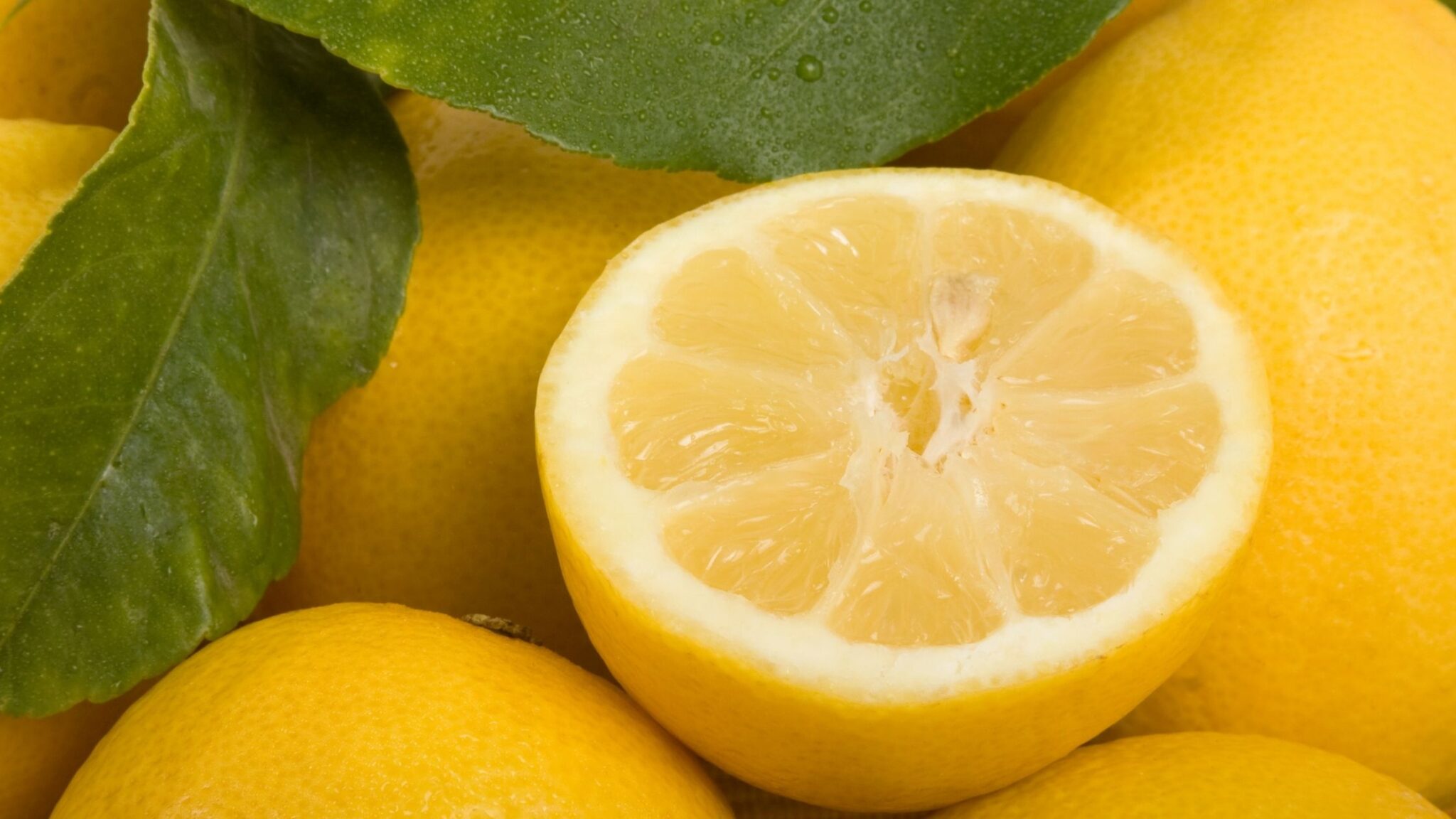 Pack ashley ann - limon agrio