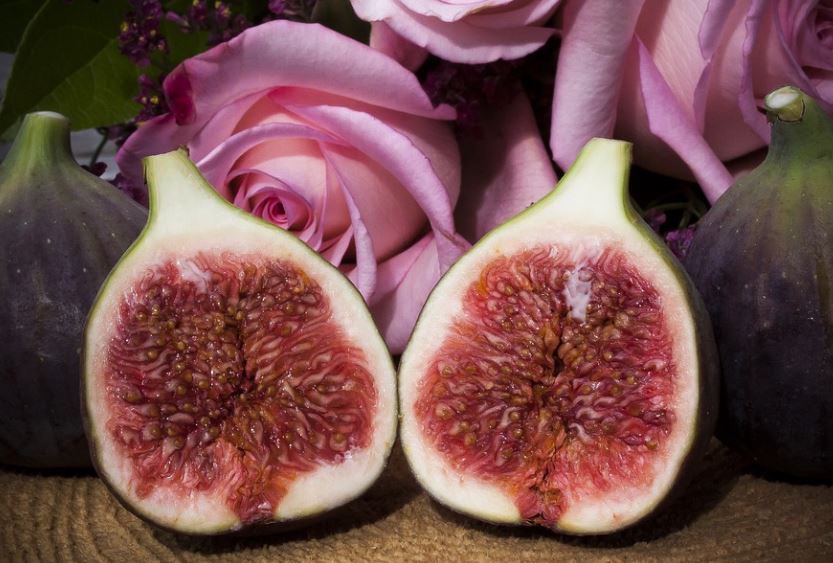 How To Freeze Fresh Figs   How To Freeze Fresh Figs 3 