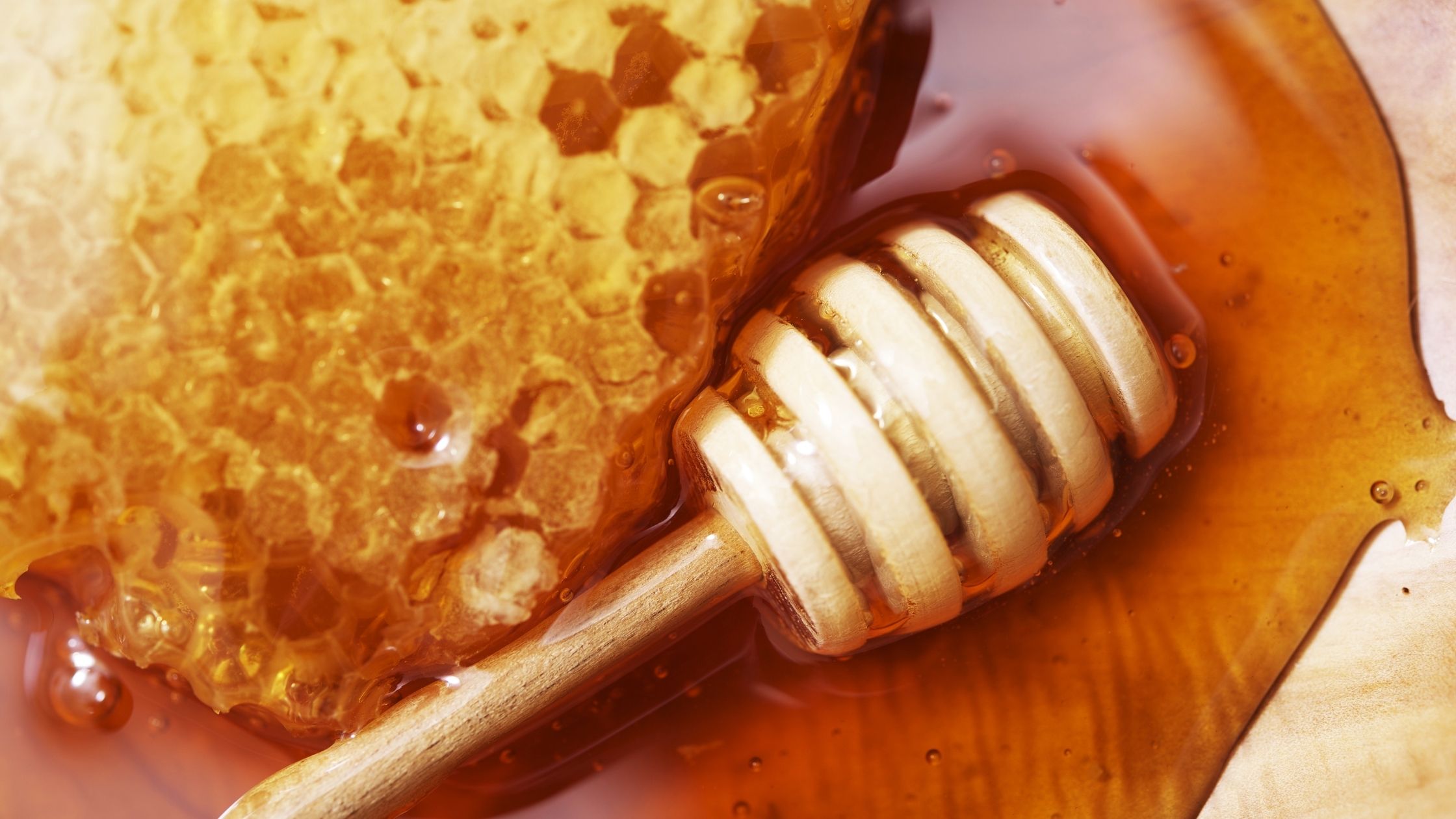 Types of Honey 