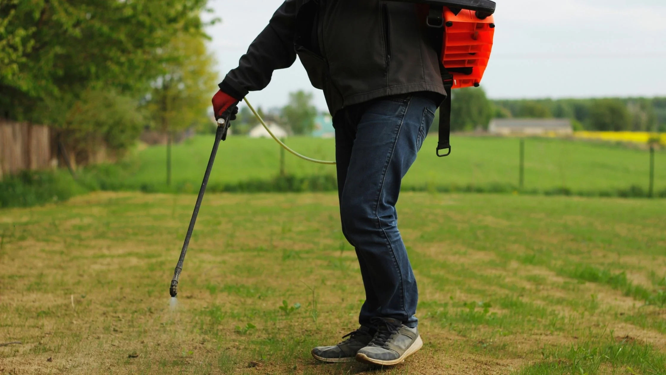 Garden sprayer: backpack sprayer