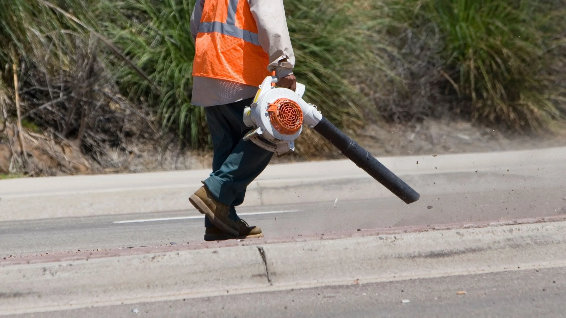 Types of leaf blowers: cordless leaf blowers