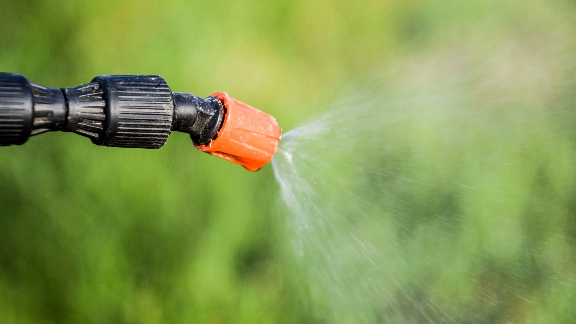 garden sprayer: fan nozzle