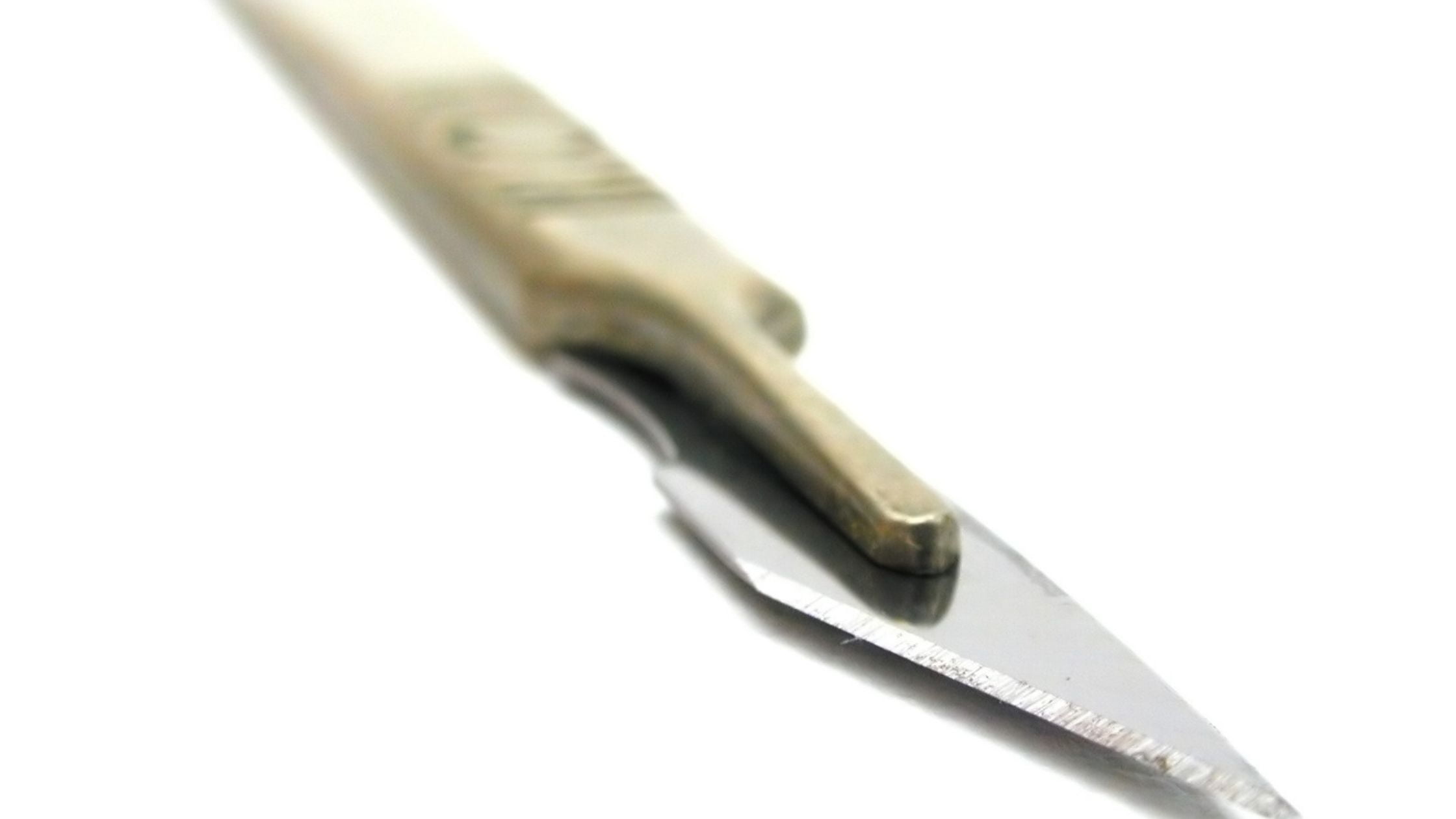 types of Garden knives: Garden Scalpel
