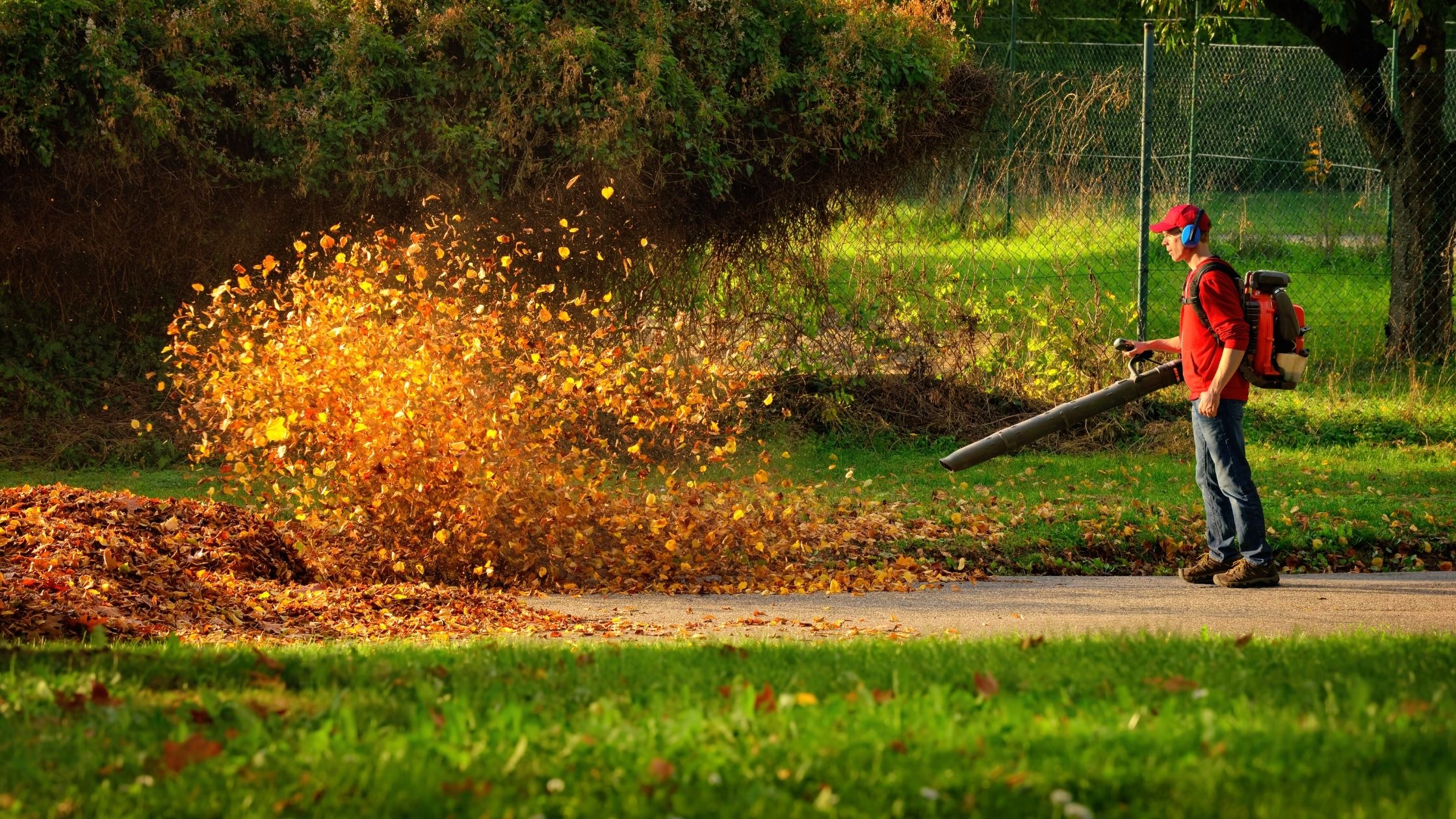 types of Leaf Blowers: Heavy-Duty Electric Leaf Blowers