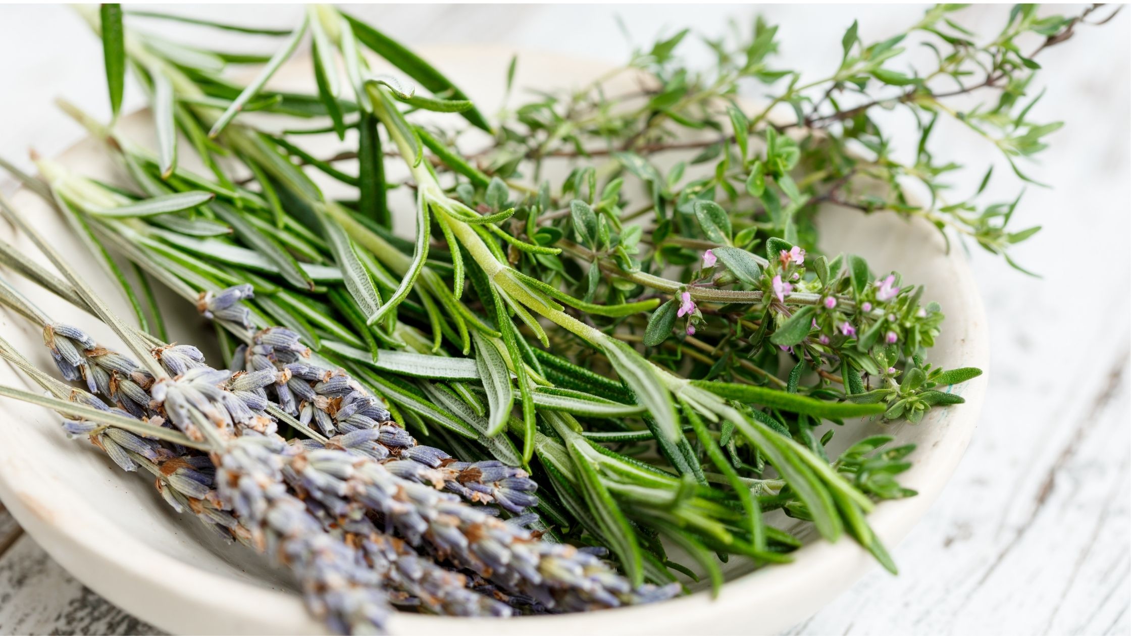 How to Harvest Thyme