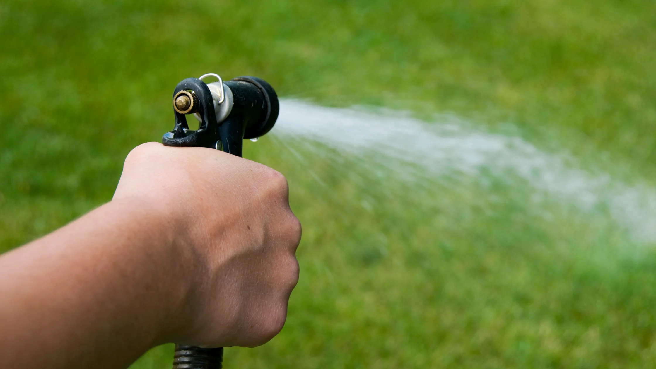 Garden sprayer: pistol grip