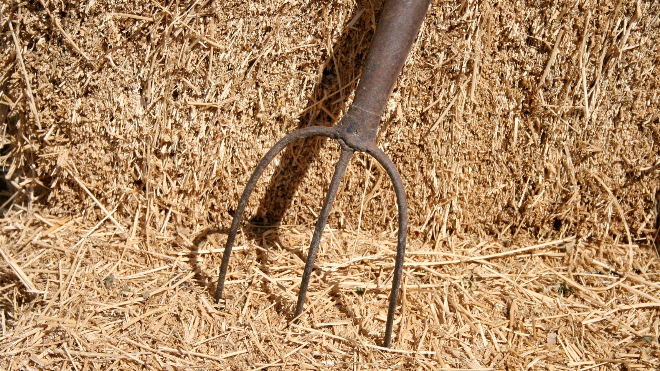 types of garden forks: Pitch Forks 