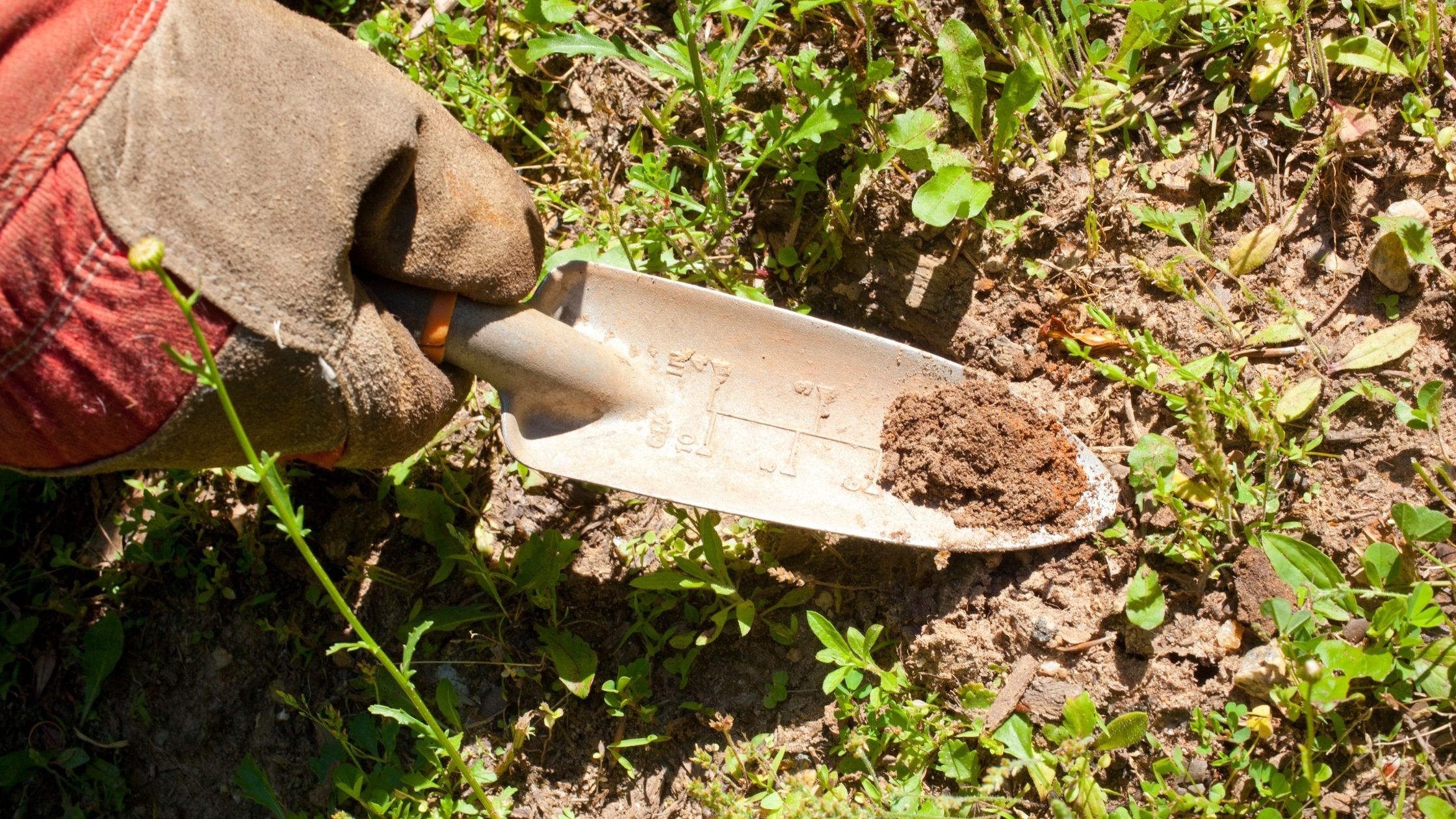 Types of Trowels: planting garden trowel
