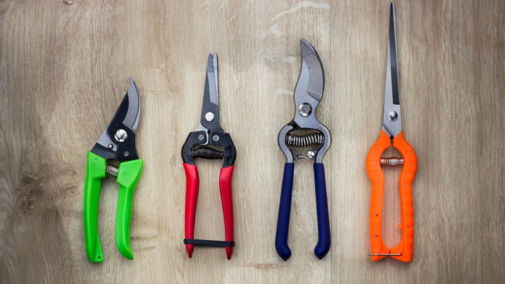 Types Of Pruning Shears