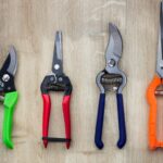 Pruning shears