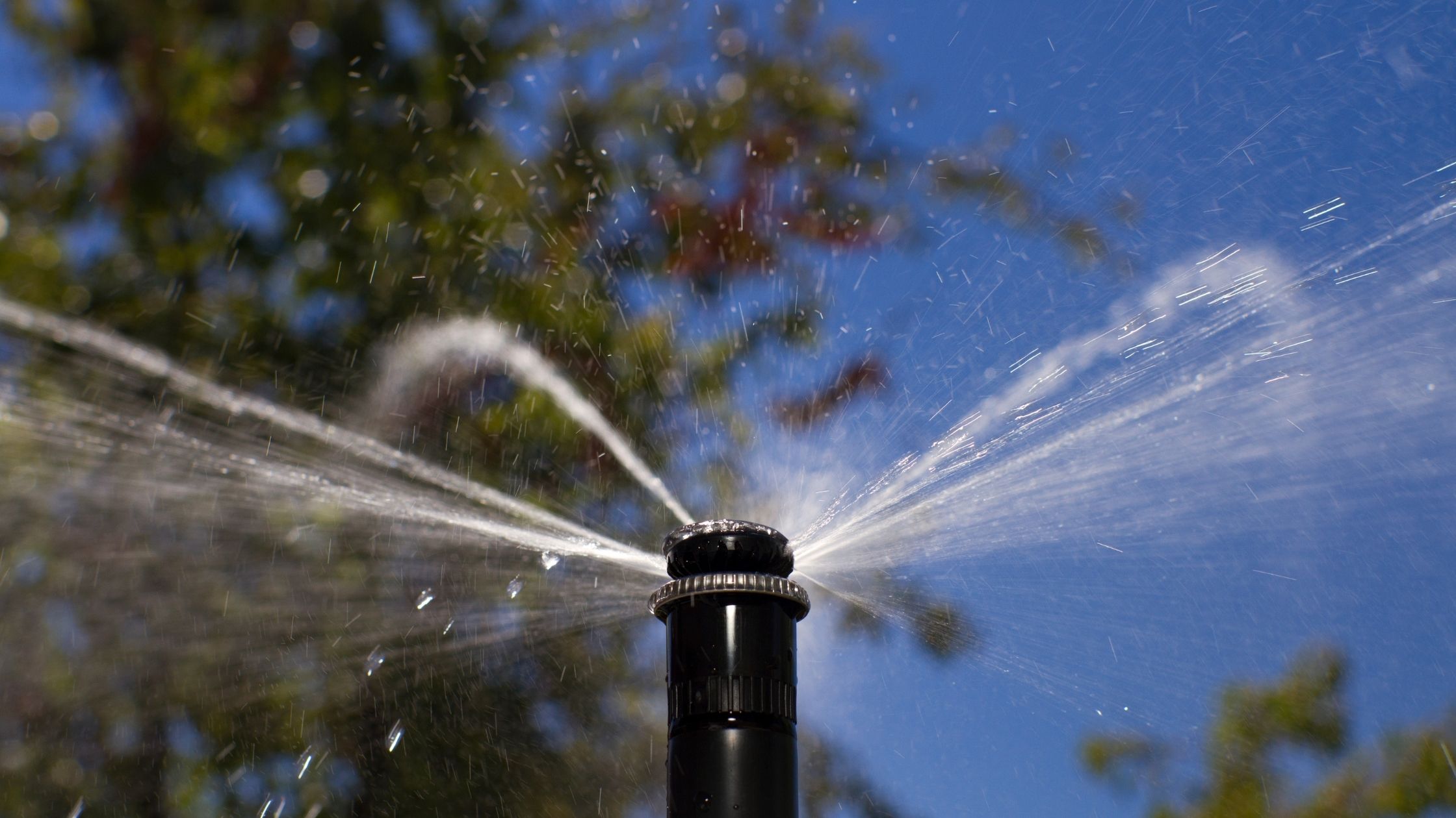 types of sprinklers: Rotating sprinklers