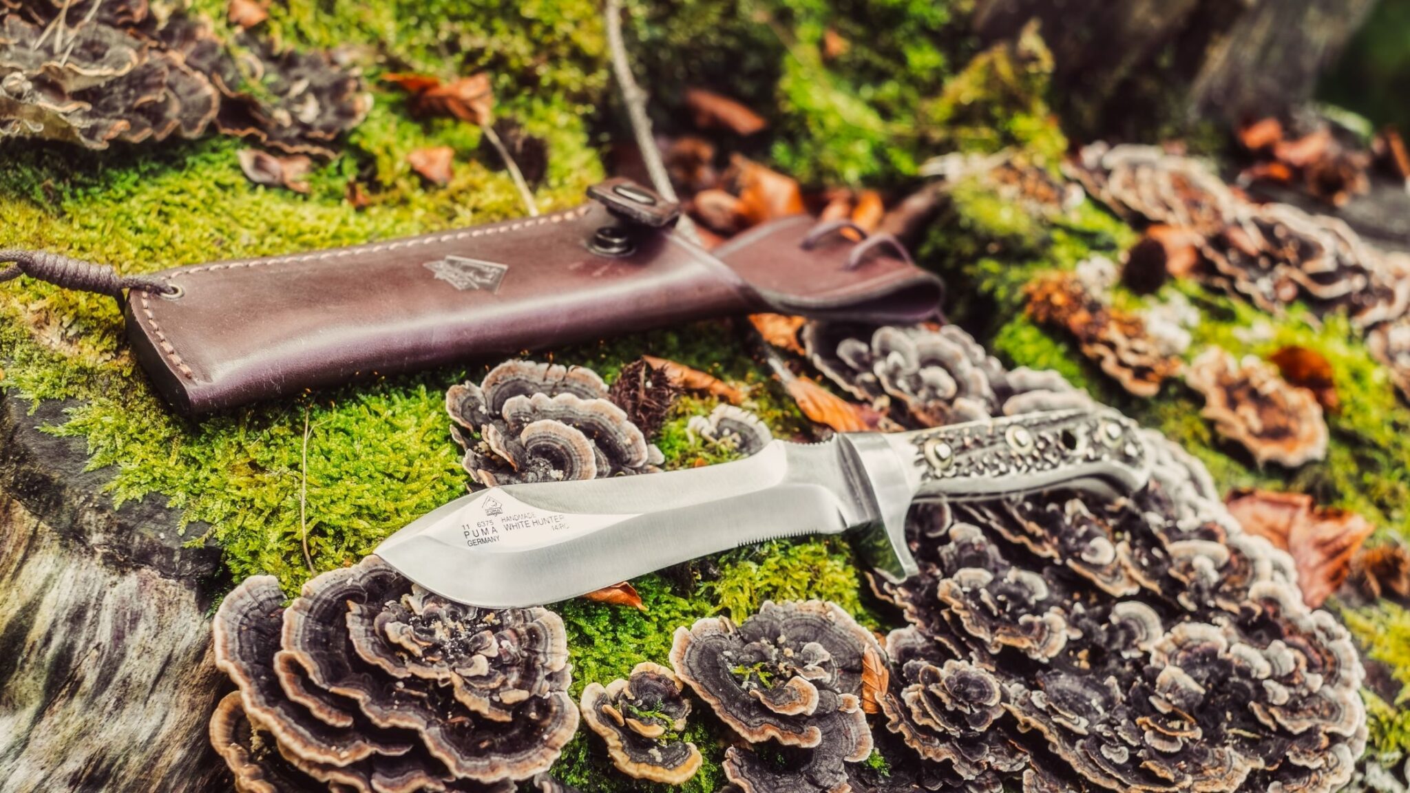11 Best Types Of Garden Knives