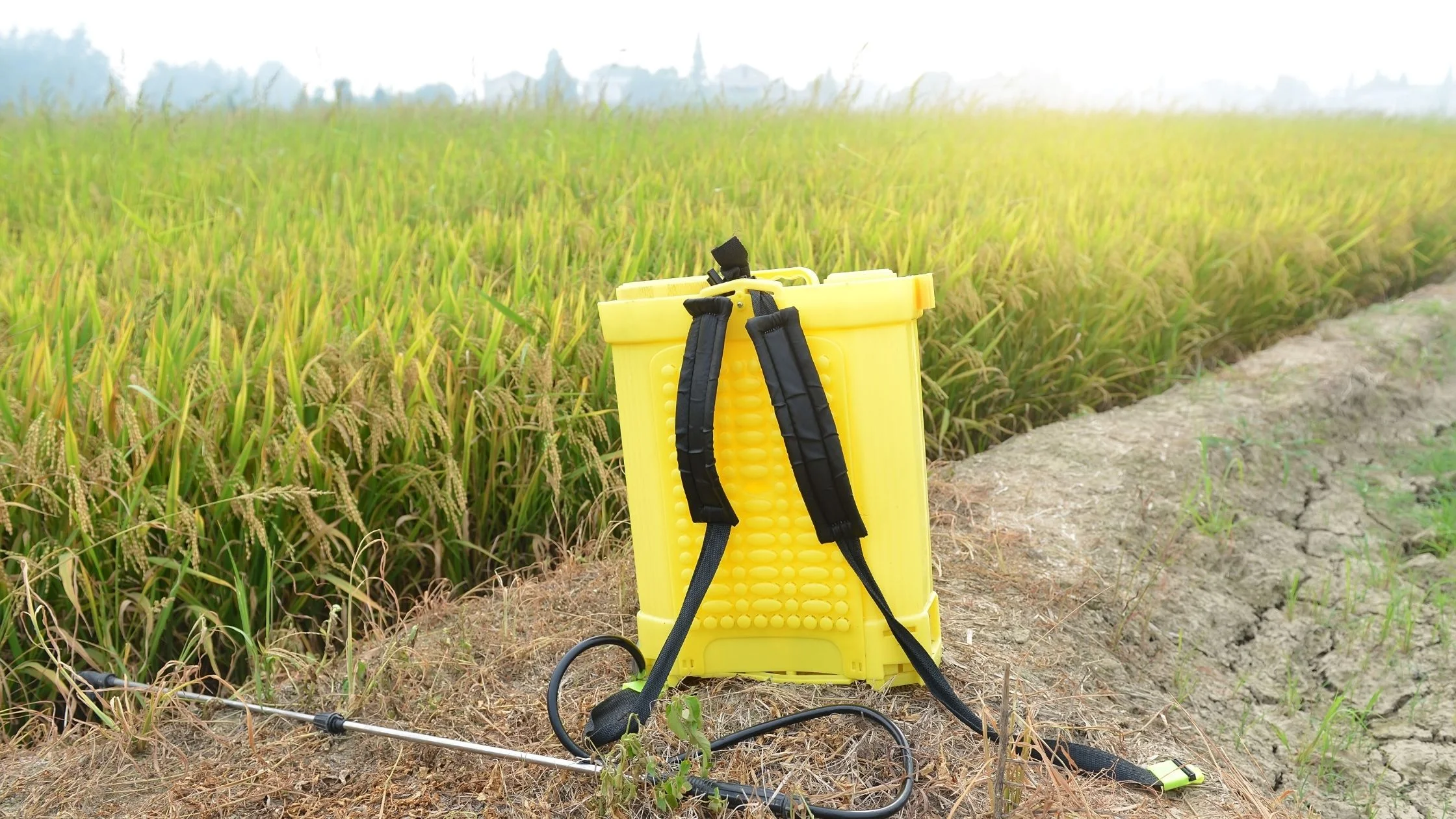 Garden sprayer: tank sprayer