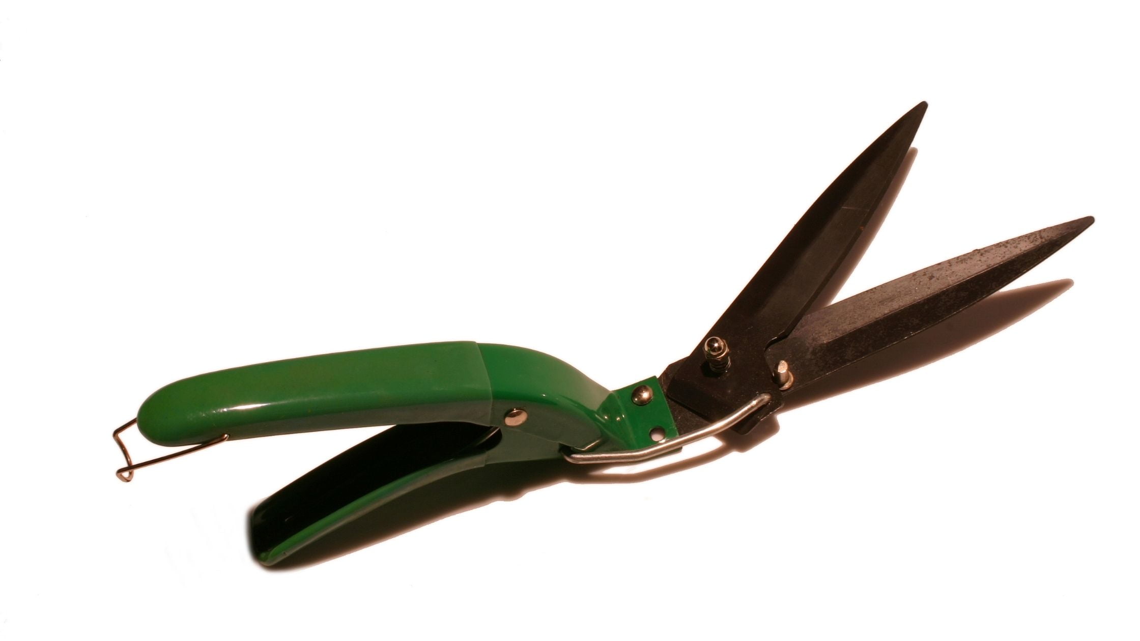 Types Of Pruning Shears