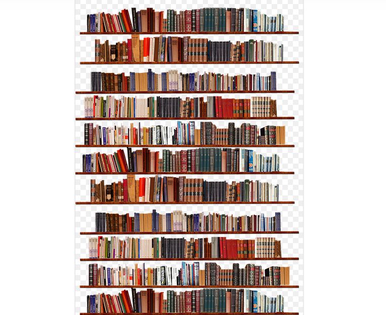 Types of Media Shelving