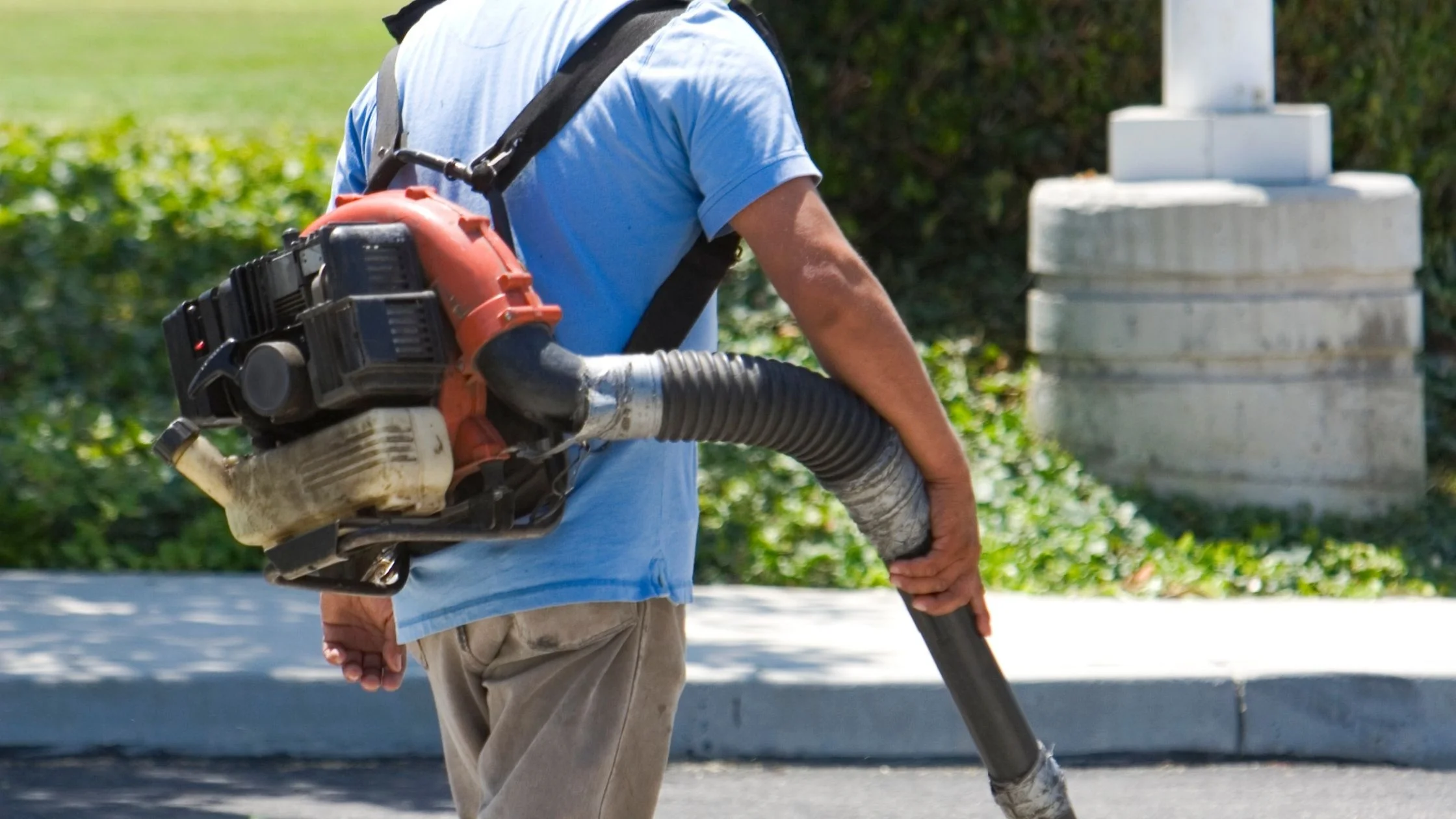 Types of leaf blowers: backpack leaf blowers