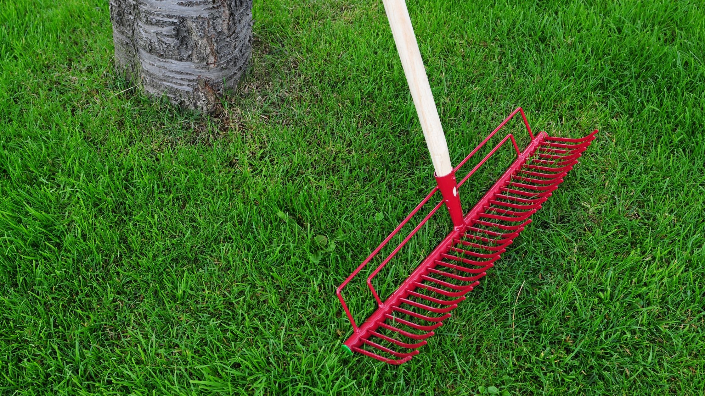 10 Best Types Of Garden Rakes