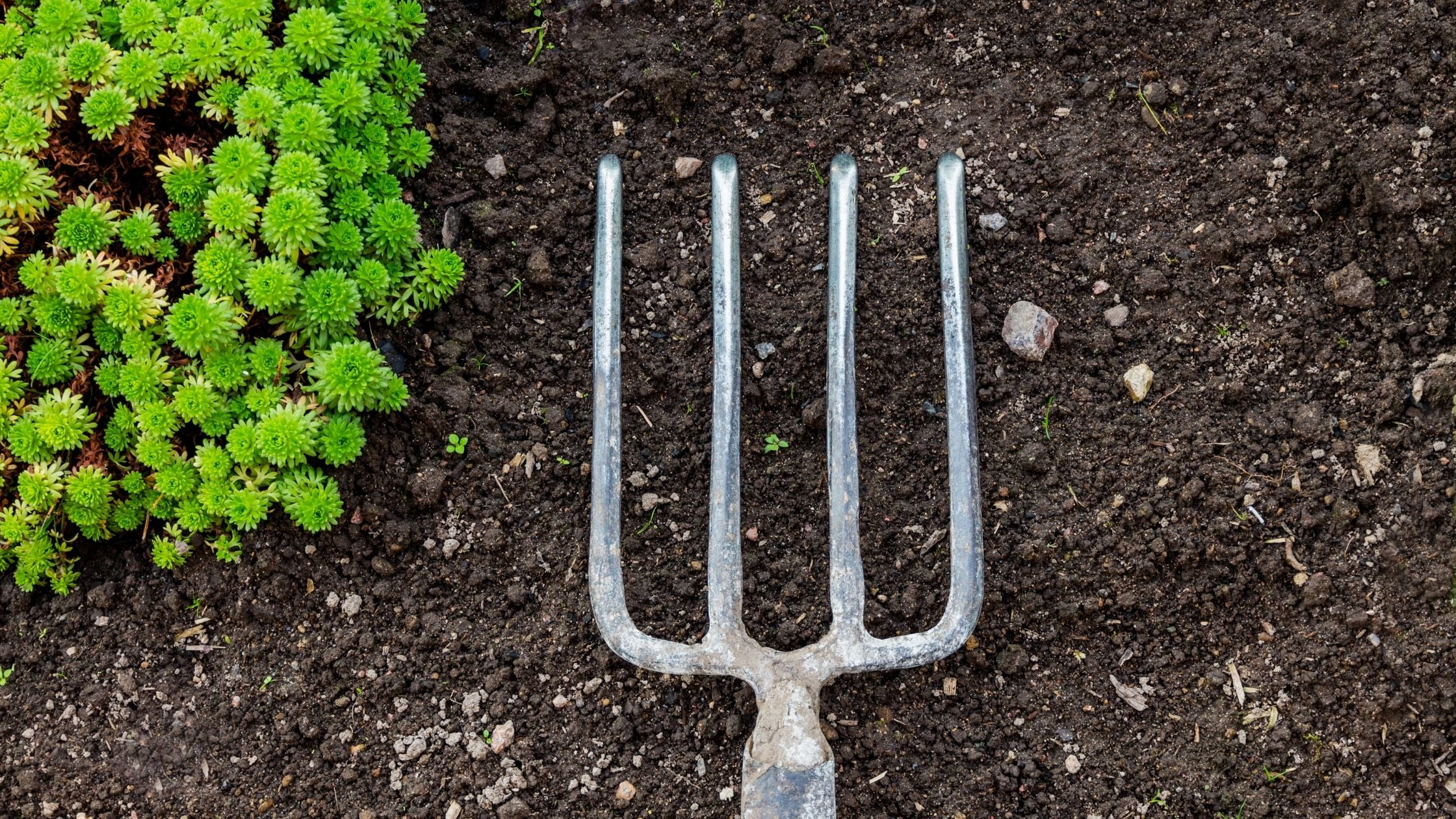 Types of garden knives: Garden fork