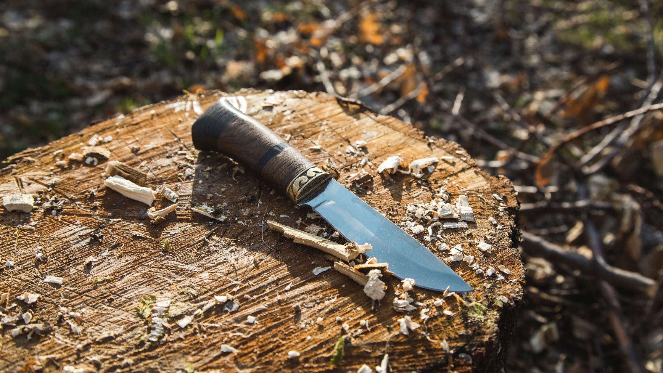 Types of garden knives: garden knife