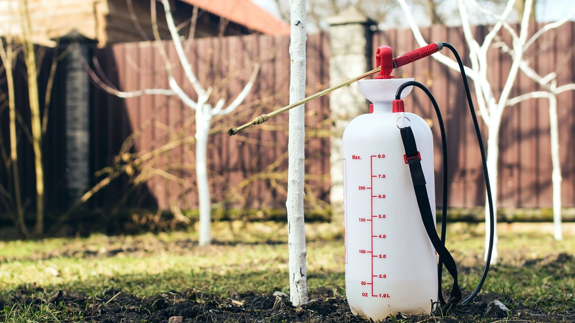 Garden sprayer