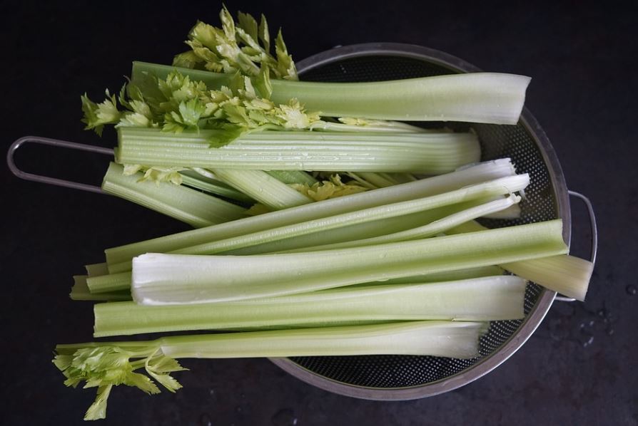 How to Harvest Celery