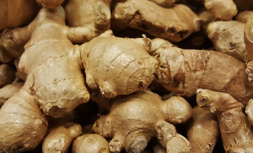 How To Harvest Ginger