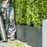 Types of leaf blowers