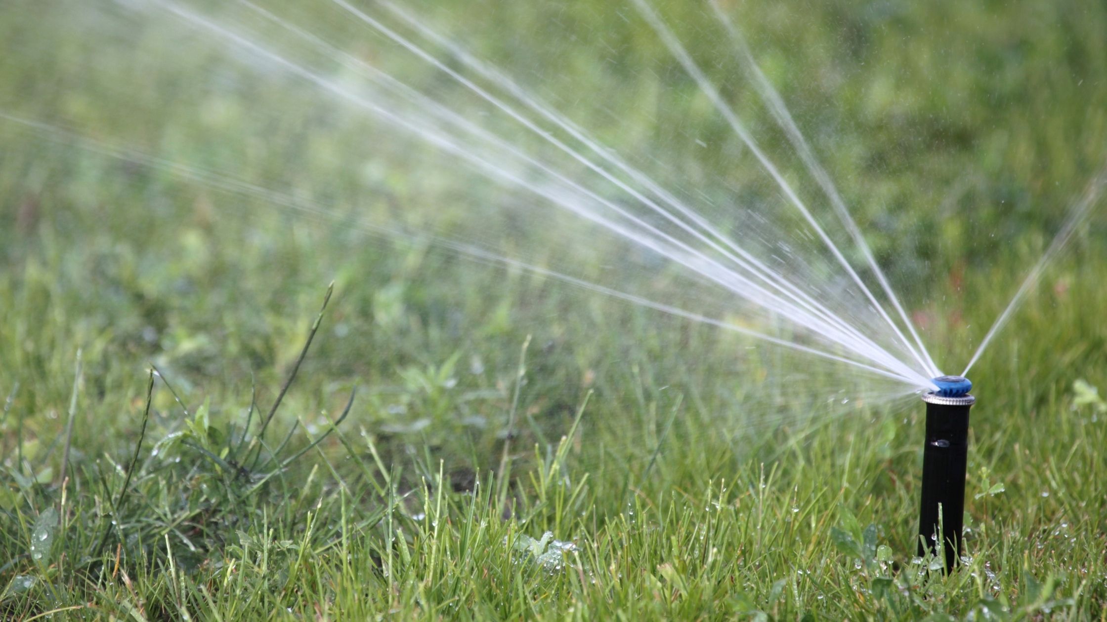 types of sprinklers: pop up sprinkler