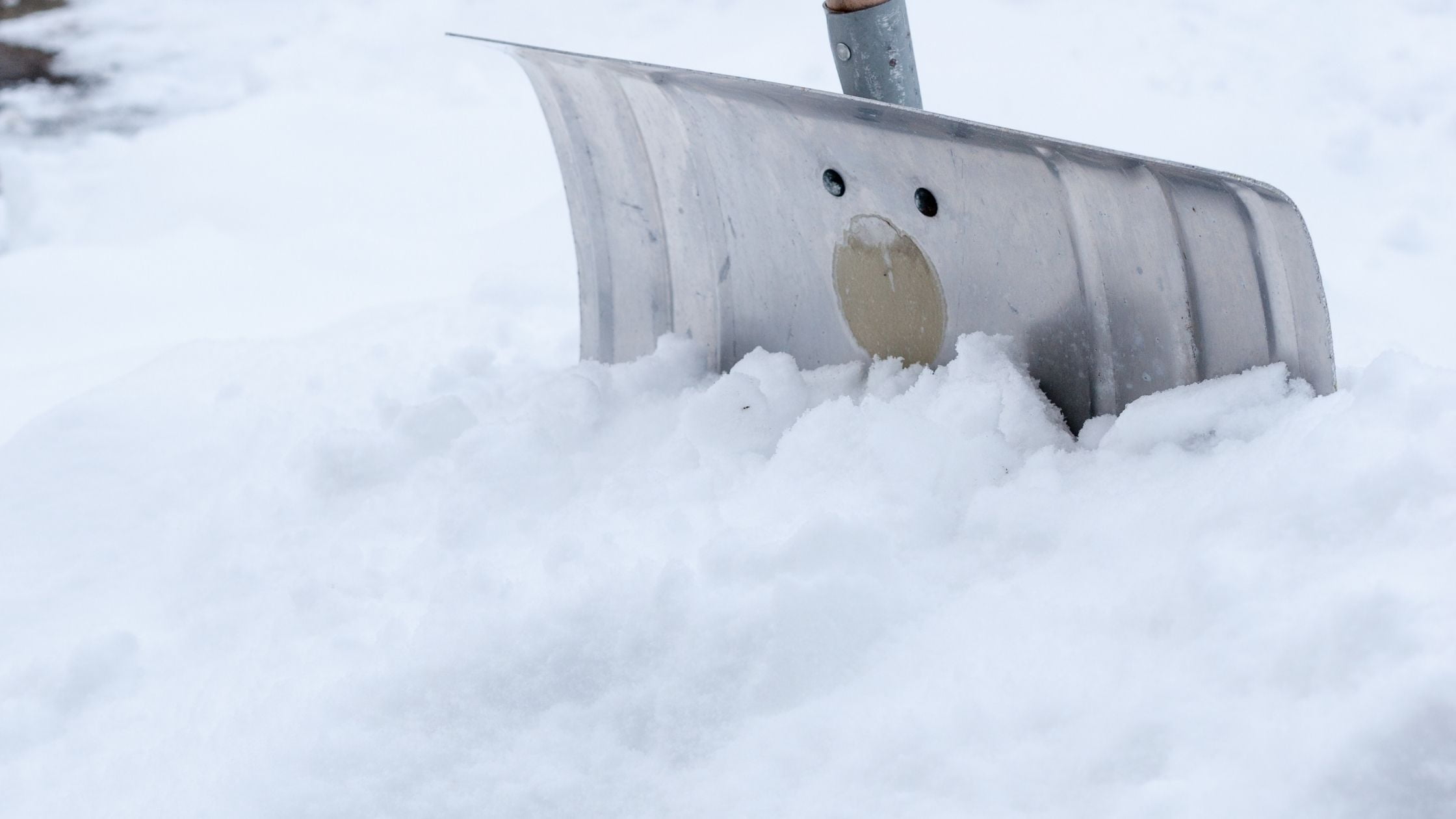 Types of shovels: snow shovel