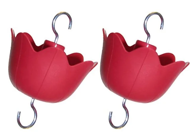 How to keep ants out of hummingbird feeder: hummers galore hummingbird feeder insect guard