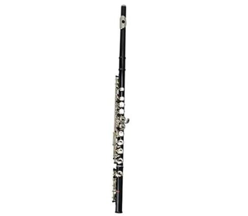 types of flutes: Concert Band Flute 